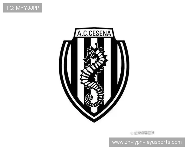 意甲各支球队所属城市一览表：地域分布与球迷基础